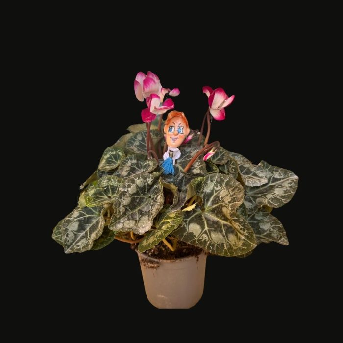 Handcrafted plant pot with a quirky detachable character head and themed body.