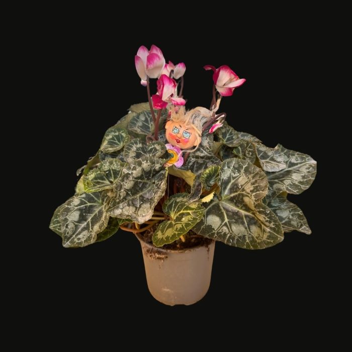 Decorative plant figure with a quirky artistic touch and interchangeable head.